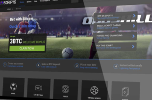 Odds Hill Betting, Casino, Poker and virtual sports Scripts Nulled Warez