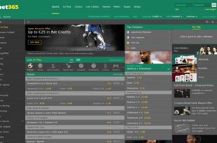 Software BET365 clone script Sports Betting