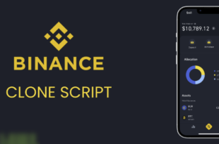 Binance Clone script Download