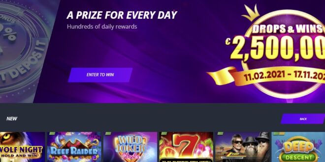 NEW script casino betting sports Download for free