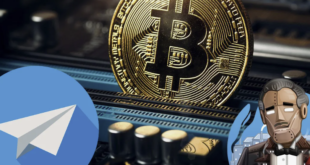 Telegram shop bot that accepts bitcoin payments