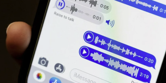 The script recognizes voice messages in a Telegram