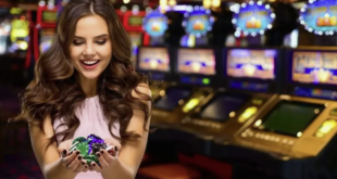 Playgt Slot Software API Integration online casino