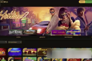 Play Fortuna Casino soft