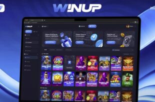 WINUP-WINGO Casino script