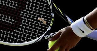 Bets Bot analyzing tennis matches
