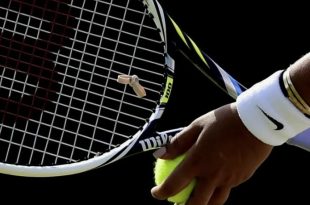 Bets Bot analyzing tennis matches