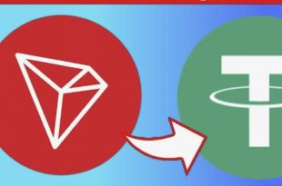 Script TRC20 USDT Exchange to TRX