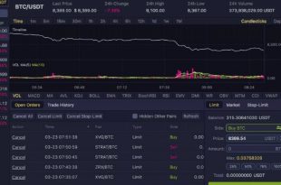 Binance PHP Trader Soft