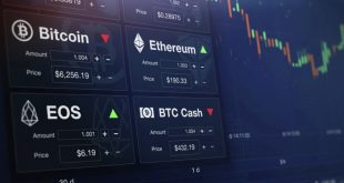 Software crypto trading platform for Binance exchange