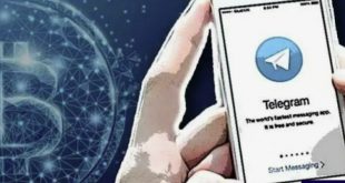Bitcoin Cash Telegram gambling bot