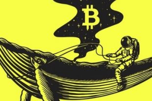 Python Telegram bot to trade