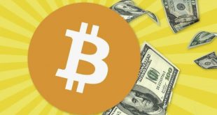 FAKE BotCoin exchange. Telegram/Discord bot SOFTWARE