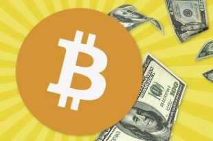 FAKE BotCoin exchange. Telegram/Discord bot SOFTWARE