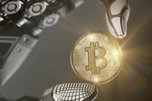 SoftWare Script telegram bot Exchange market