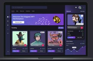NFT Marketplace Clone Script in 2025 - Updated!