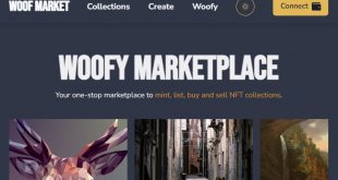 NFT Marketplace Software Platform - Source code