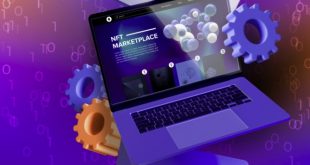 Software NFT Marketplace Script website