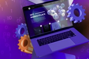 Software NFT Marketplace Script website