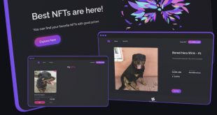 Full stack NFT Marketplace application Software for developers
