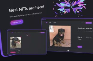 Full stack NFT Marketplace application Software for developers