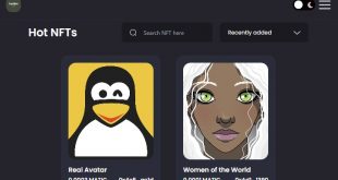 NFT Marketplace Project Software for developers