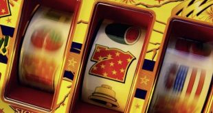 Slot machines with customizable logic Online Casino Software
