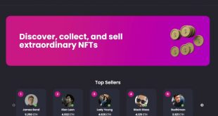 Script NFT Marketplace Template