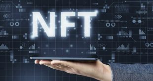 NFT Contracts Software