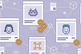 NFT marketplace website Script SoftWare