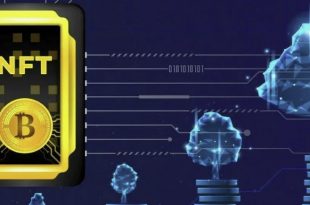 Launch a Marketplace of NFT