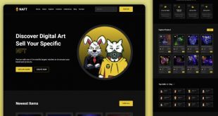 Download script is a fully responsive nft marketplace website