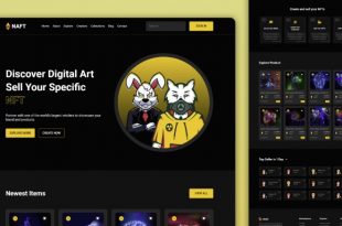 Download script is a fully responsive nft marketplace website