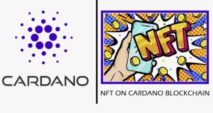 Software NFT Marketplace on the Cardano Blockchain