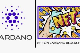Software NFT Marketplace on the Cardano Blockchain
