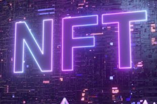 Nft Marketplace PHP Scripts