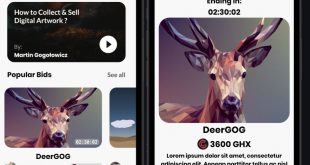 NFT Marketplace App UI with support for dark mode