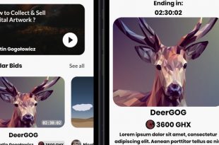 NFT Marketplace App UI with support for dark mode