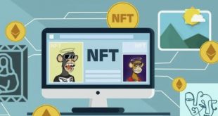 NFT marketplace Software
