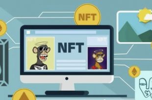 NFT marketplace Software