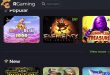Script Online casino bookmaker RGaming Software