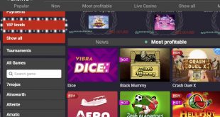 Online web Script VintaBET Casino
