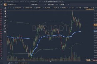 Bybit Clone Script