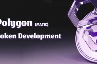 Polygon Token Development – A Guide To Create Token On Polygon Blockchain