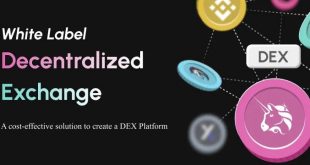 Script Decentralized Exchange Software