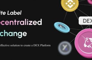 Script Decentralized Exchange Software