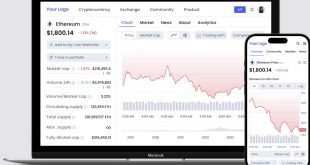 Ethereum Token Development Services