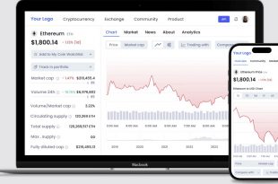 Ethereum Token Development Services