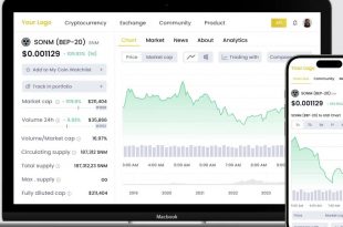 BEP20 Token Development Company