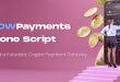 NOWPayments Clone Script – A Futuristic Crypto Payment Gateway Solution